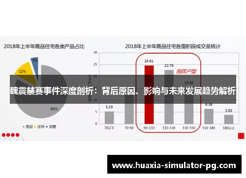 魏震禁赛事件深度剖析：背后原因、影响与未来发展趋势解析