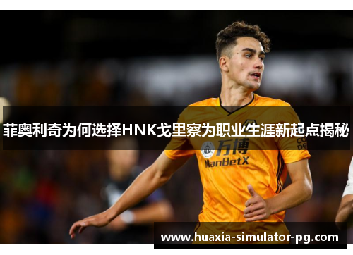 菲奥利奇为何选择HNK戈里察为职业生涯新起点揭秘 菲奥利奇为何选择HNK戈里察为职业生涯新起点揭秘