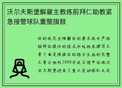 沃尔夫斯堡解雇主教练前拜仁助教紧急接管球队重整旗鼓 沃尔夫斯堡解雇主教练前拜仁助教紧急接管球队重整旗鼓